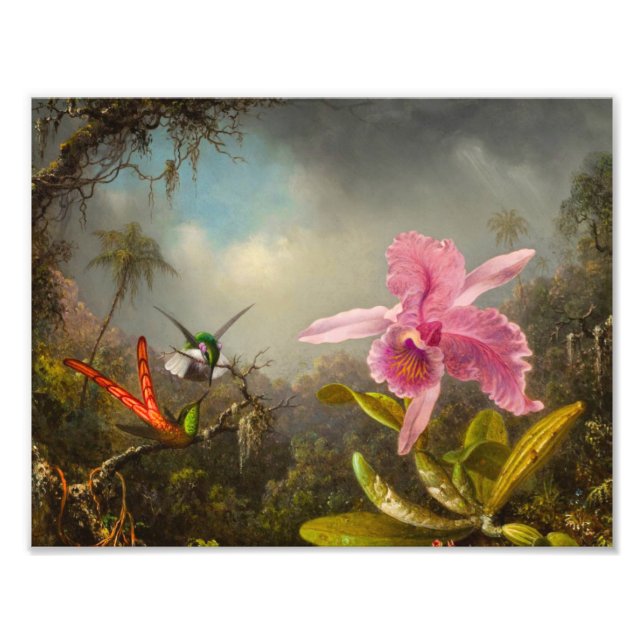Orchid with Two Hummingbirds Heade Photo Print (Front)