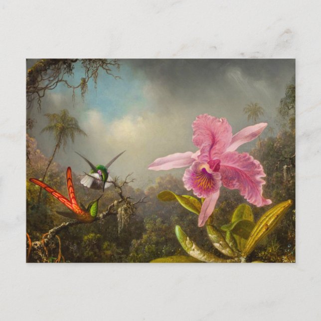 Orchid with Two Hummingbirds Heade Postcard (Front)