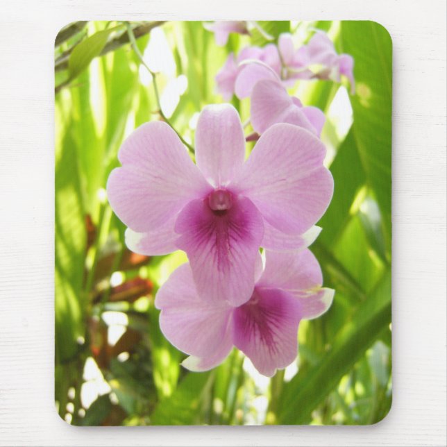 Orchid - World Of Our Own Mouse Pad (Front)