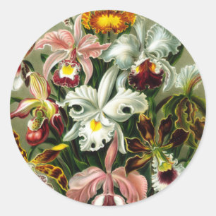 Orchidae Classic Round Sticker
