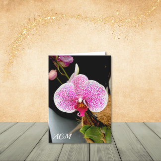 Orchidée blanche avec Speckies roses, cartes de no