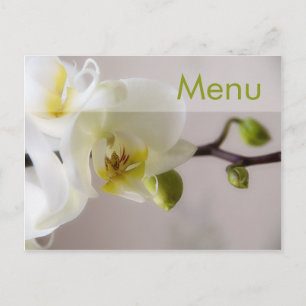 Orchidée blanche ・ Carte postale Menu