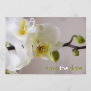Orchidée blanche ・ Save the Date Carte