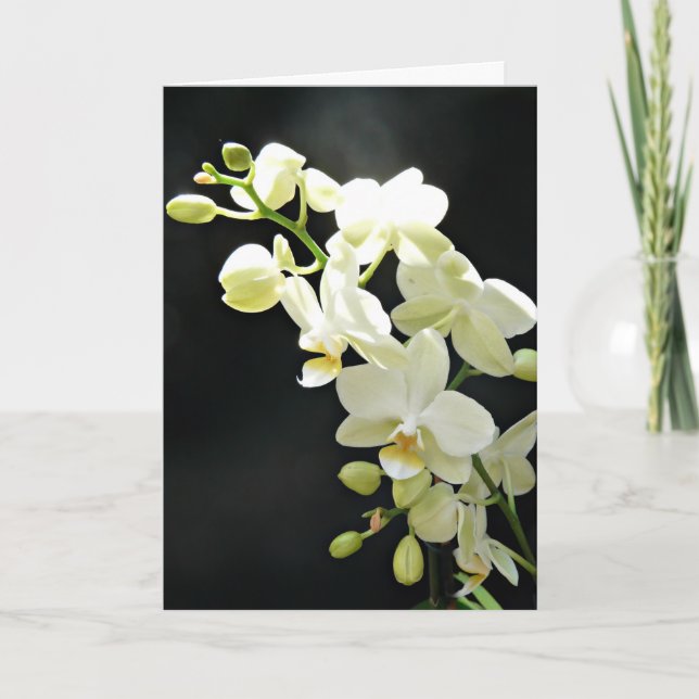 Orchidée blanche sur carte d'anniversaire noire (Devant)