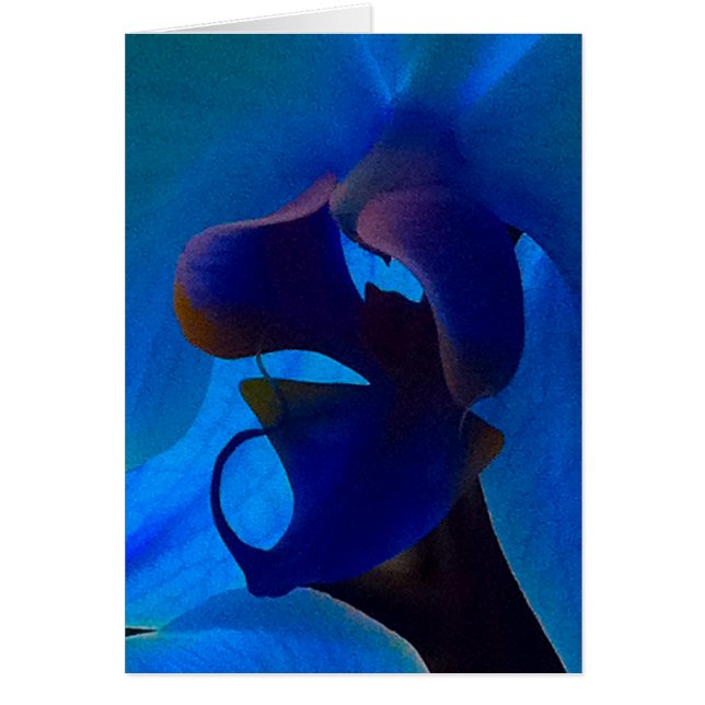 Orchidée bleue (Devant)