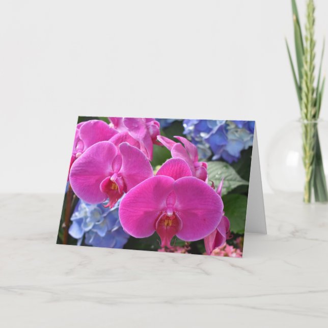 Orchidée, carte (Devant)