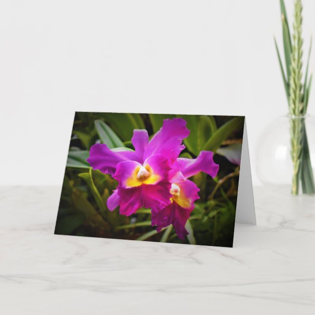 Orchidée, carte (Devant)