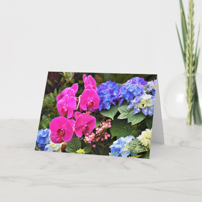 Orchidée, carte (Devant)