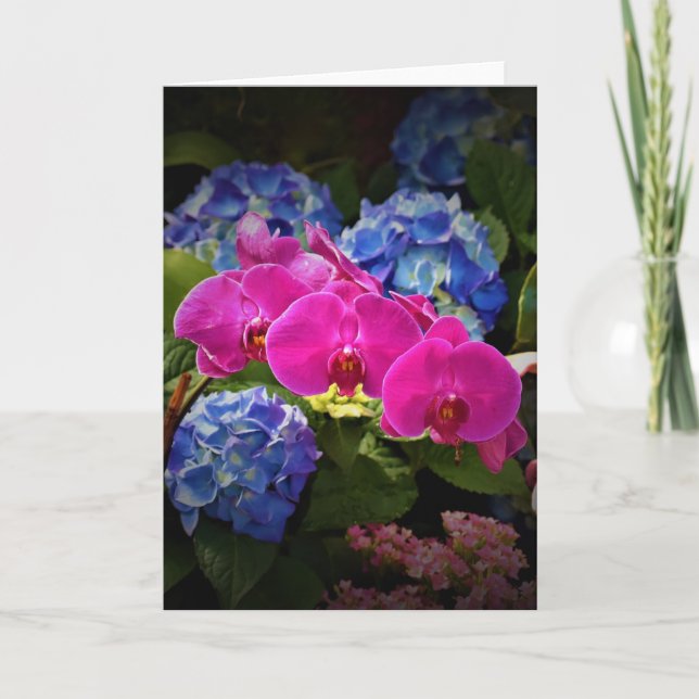 Orchidée, carte (Devant)