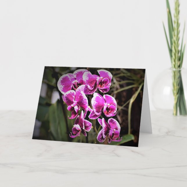 Orchidée, carte (Devant)
