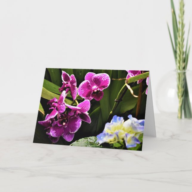 Orchidée, carte (Devant)