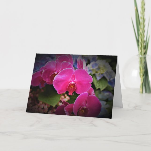 Orchidée, carte (Devant)