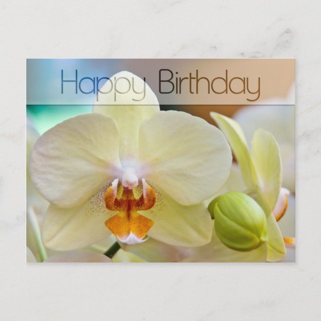 Orchidée ・ Carte postale Anniversaire (Devant)