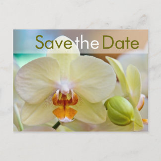 Orchidée • Carte postale de sauvegarde de date