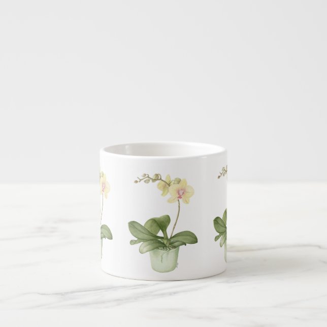 Orchidée dans le pot vert dans la tasse botanique (Devant)