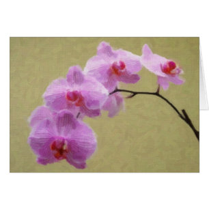 Orchidée de Phalaenopsis