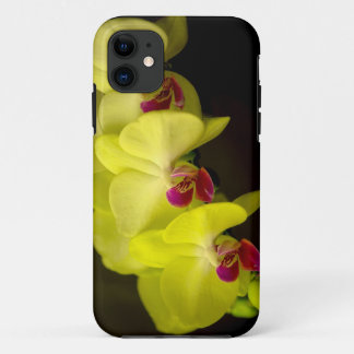 Orchidée jaune - coque iphone