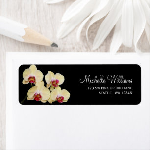 Orchidée jaune rose et noire
