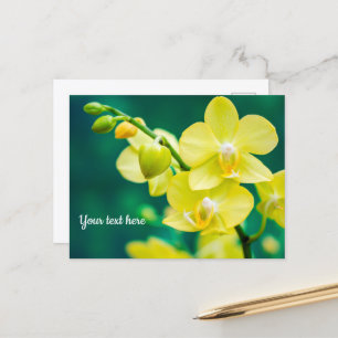 Orchidée jaune sur carte postale verte