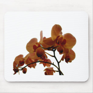 Orchidee Mouse Pad
