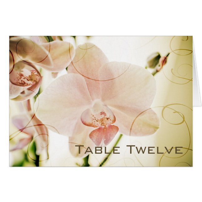 Orchidée rose • Carte de Tableau (Devant horizontal)