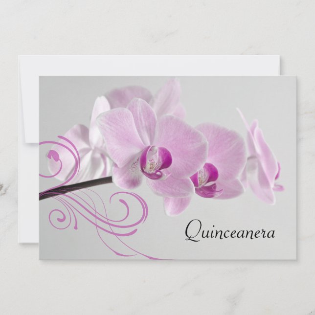Orchidée rose Élégance Quinceanera Invitation (Devant)