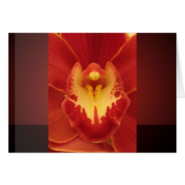 Orchidée rouge (Devant horizontal)