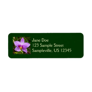 Orchidée sauvage violette Fleur tropicale