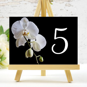 Orchidée sur les numéros de table noire