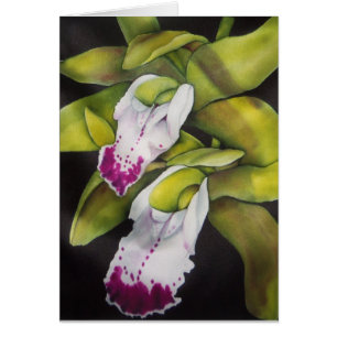 Orchidée verte de Cymbidium