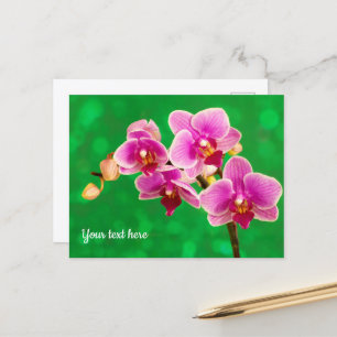 Orchidée violette sur carte postale verte