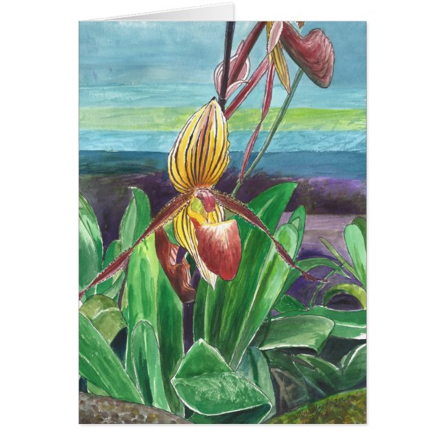 Orchidées (Devant)