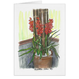 Orchidées avec le bambou