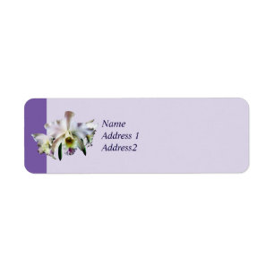 Orchidées blanches de Cattleya