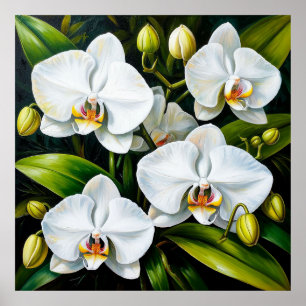 Orchidées Blanches Luxueuses Décoration & Cadeau