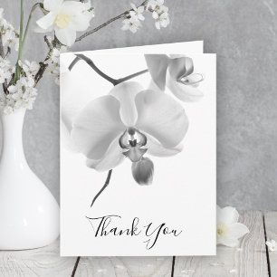 Orchidées blanches noires sur Merci de la Sympathi