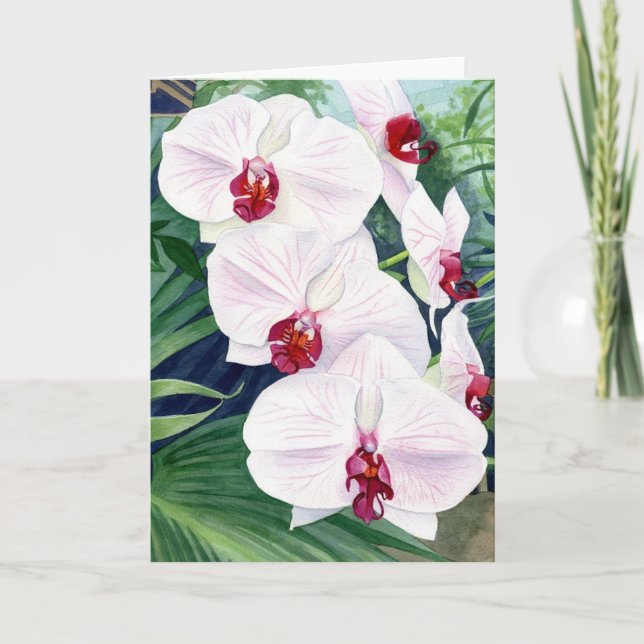 Orchidées, carte de voeux (Devant)