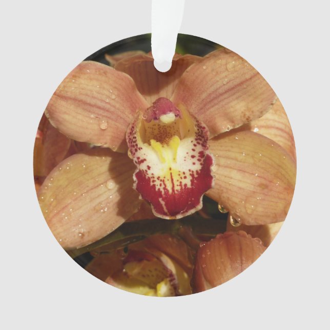 Orchidées de Pêche avec Raindrops Floral (devant)