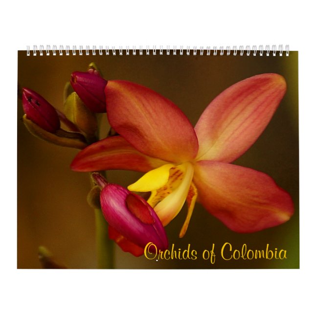 Orchidées du calendrier 2013 de la Colombie (Protection)
