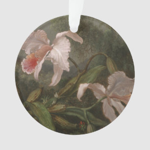Orchidées et colibris de jungle