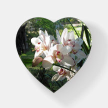 Orchidées fleurissant au printemps presse-papiers