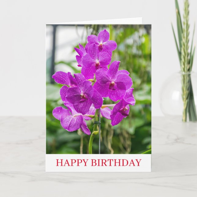 Orchidées près de la carte d'anniversaire (Devant)