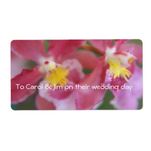 Orchidées rose et jaune