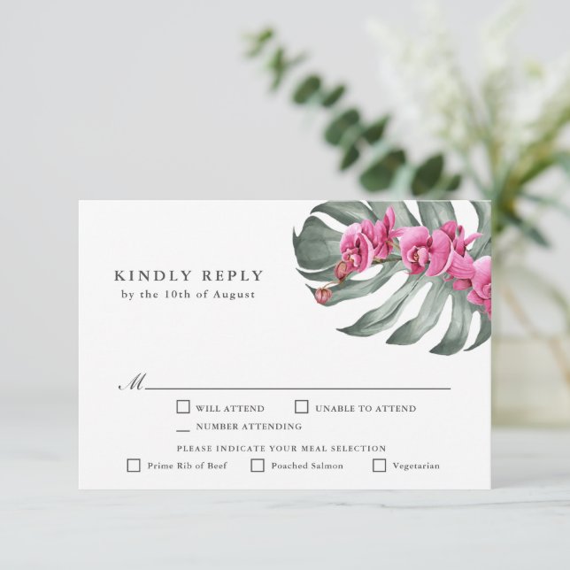 Orchidées roses chaudes Tropical RSVP avec Entres (Debout devant)