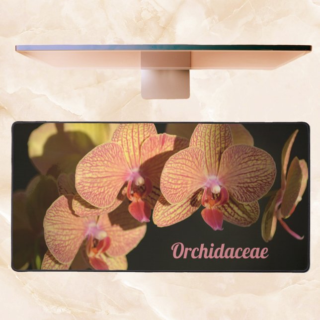 Orchidées roses de corail spectaculaire personnali (Créateur téléchargé)