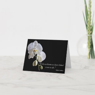 Orchidées sur le Merci noir pour votre sympathie