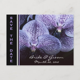 Orchidées violettes Enregistrer la date Cartes pos