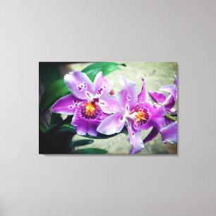 Orchidées violettes toile enveloppée Imprimer