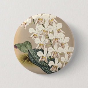 Orchids 2 Inch Round Button