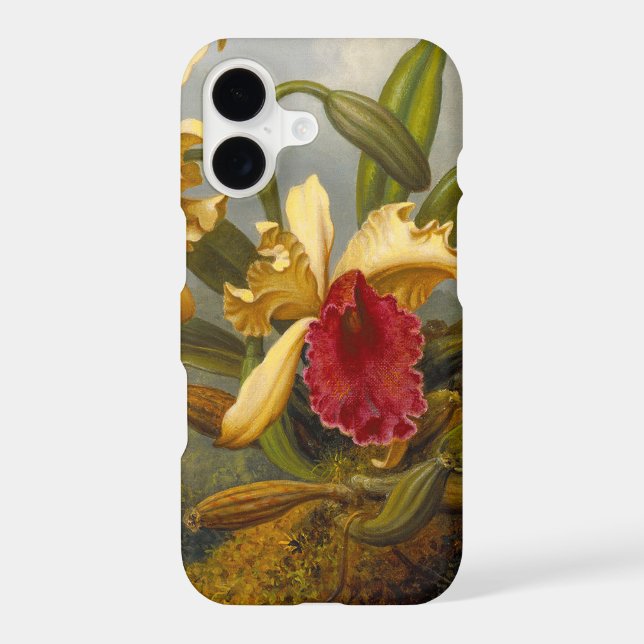 Orchids and Hummingbird Heade (Back)